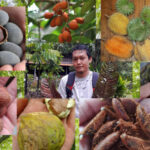 Mohammad Hanif Wicaksono, pembudidaya tanaman buah langka khas Kalimantan. Foto: Istimewa